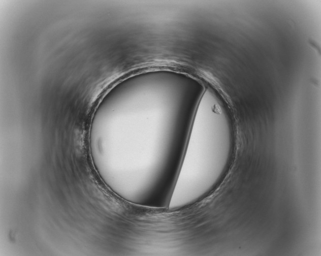 X0000103311260200808291145