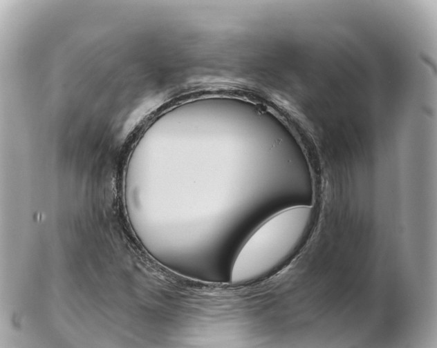 X0000103311261200808291145