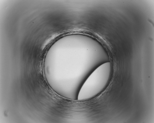 X0000103311262200808291145