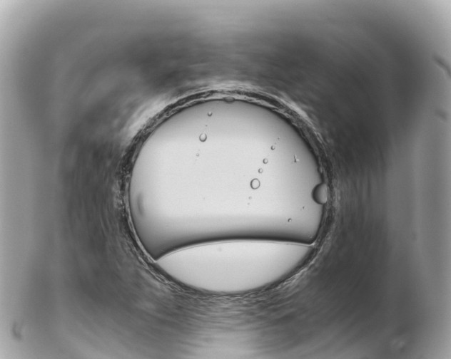 X0000103311263200808291145