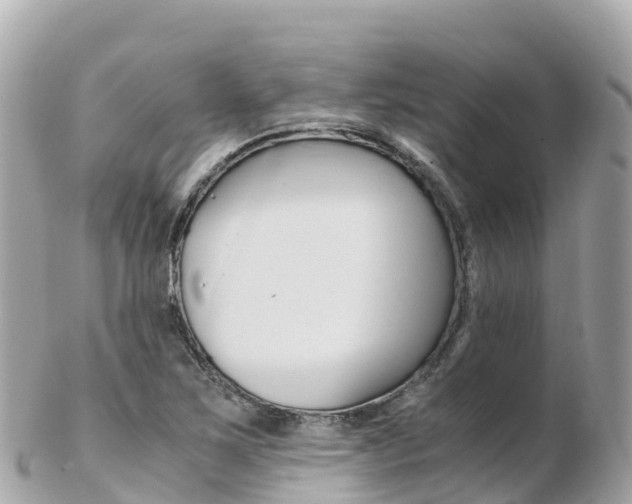 X0000103311267200808291145