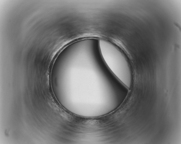 X0000103311268200808291145
