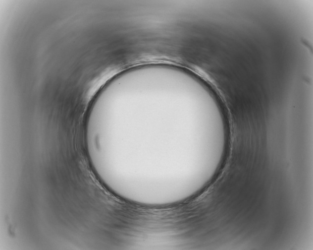 X0000103311269200808291144