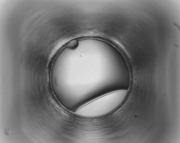 X0000103311270200808291144