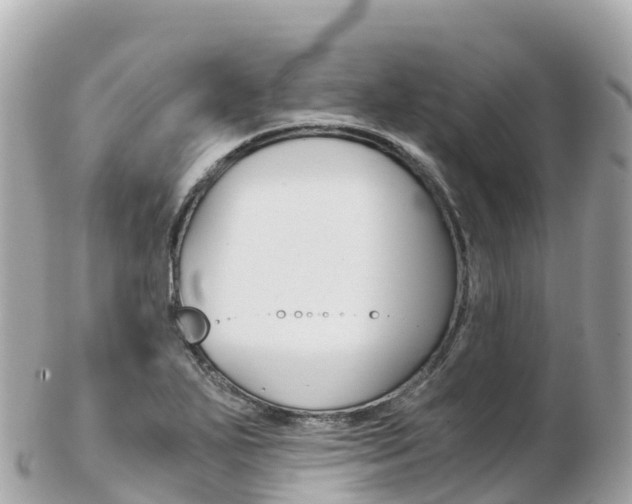 X0000103311271200808291144