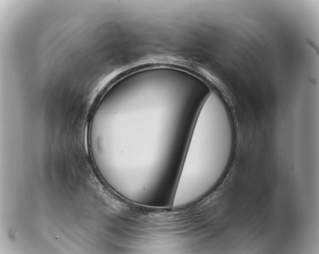 X0000103311272200808291144