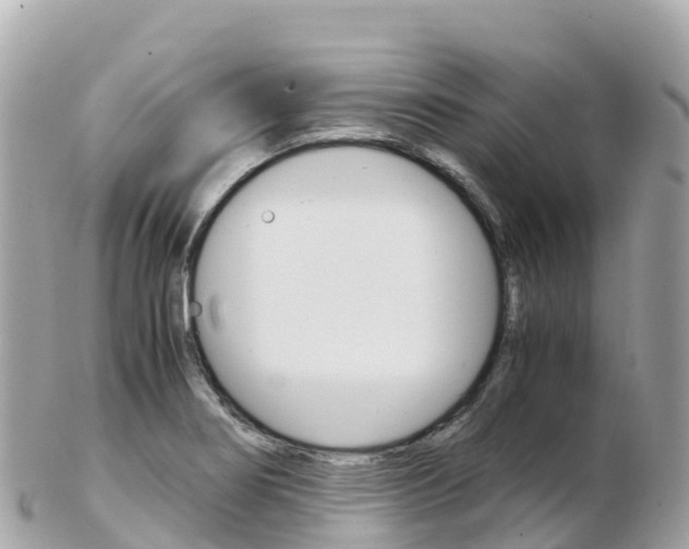 X0000103311274200808291144