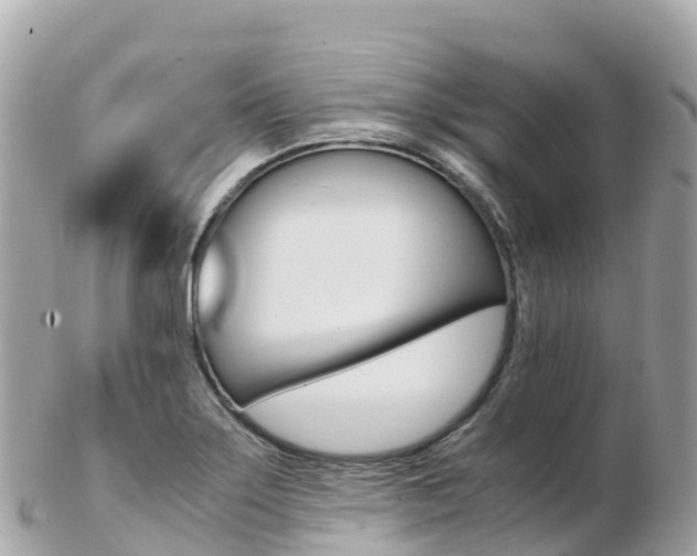X0000103311275200808291144