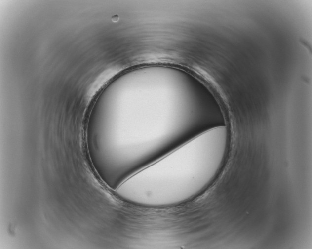 X0000103311277200808291144