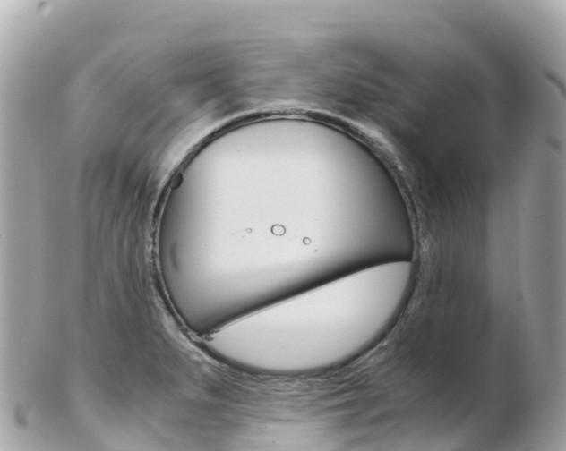 X0000103311279200808291144
