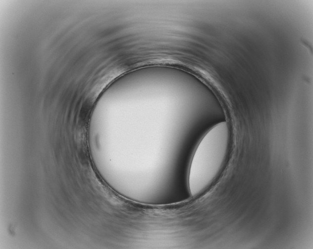 X0000103311281200808291144