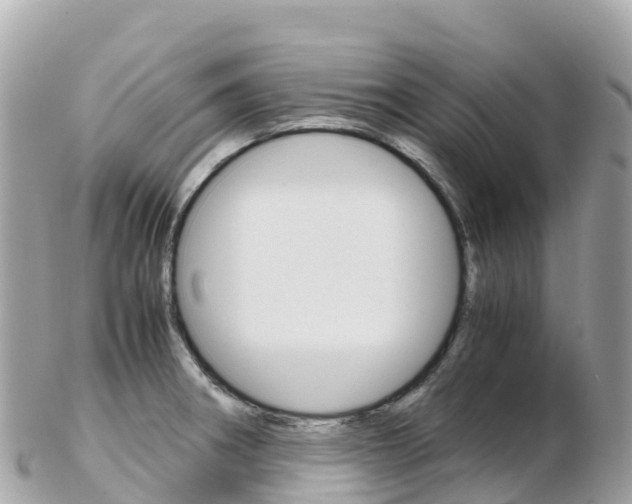 X0000103311282200808291144