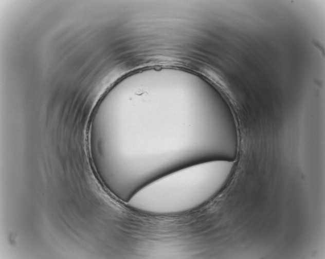 X0000103311283200808291144