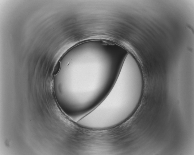 X0000103311284200808291144