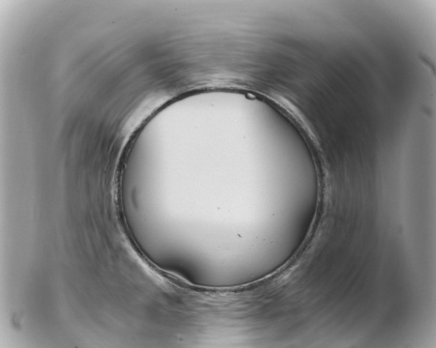 X0000103311285200808291144