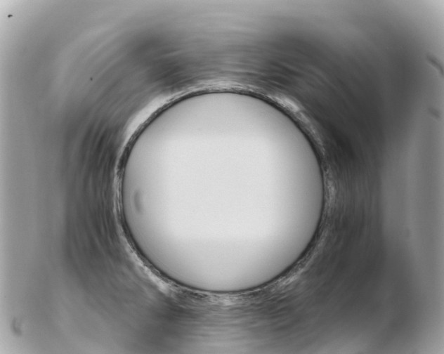 X0000103311286200808291144