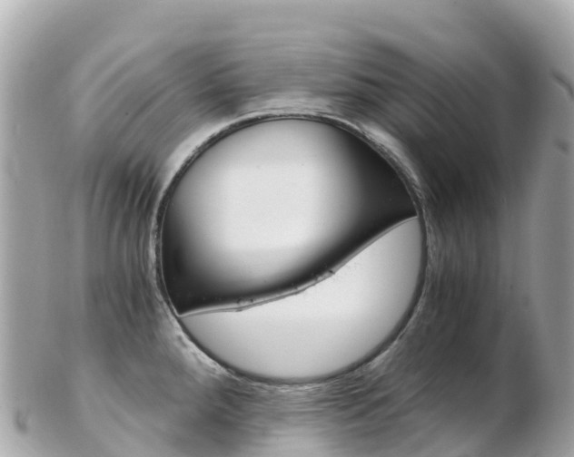 X0000103311288200808291144