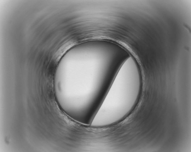 X0000103311289200808291144
