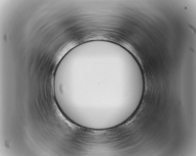 X0000103311290200808291144