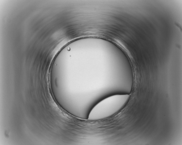 X0000103311291200808291144