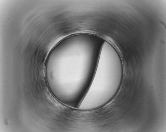 X0000103311292200808291144