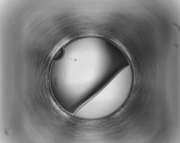 X0000103311293200808291144