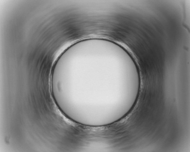 X0000103311294200808291144