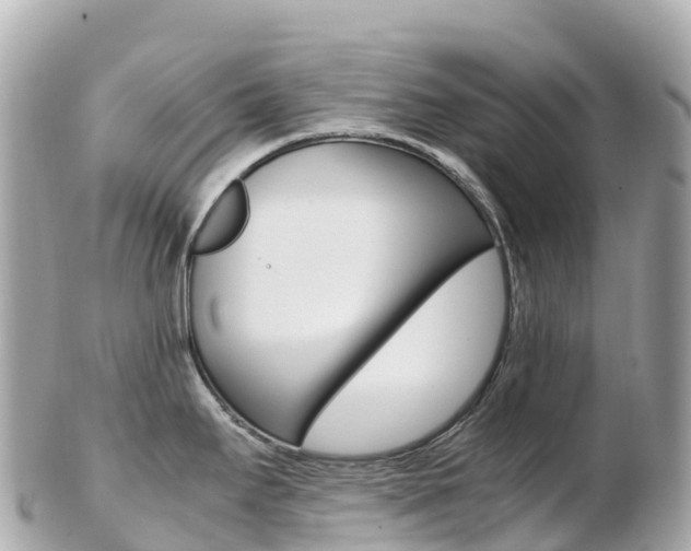 X0000103311295200808291144