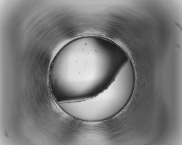 X0000103311296200808291144