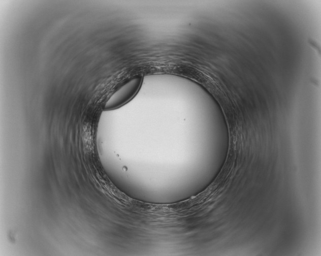 X0000103311298200808291143