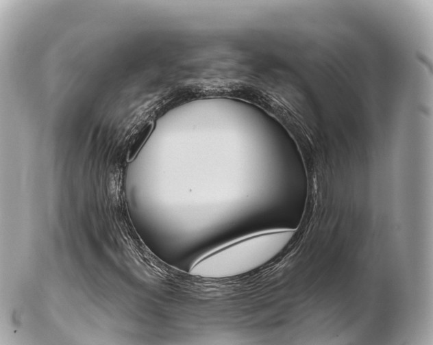 X0000103311300200808291143