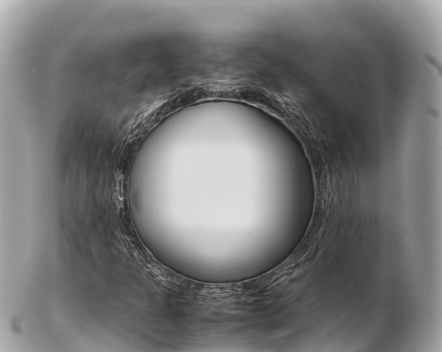 X0000103311301200808291144