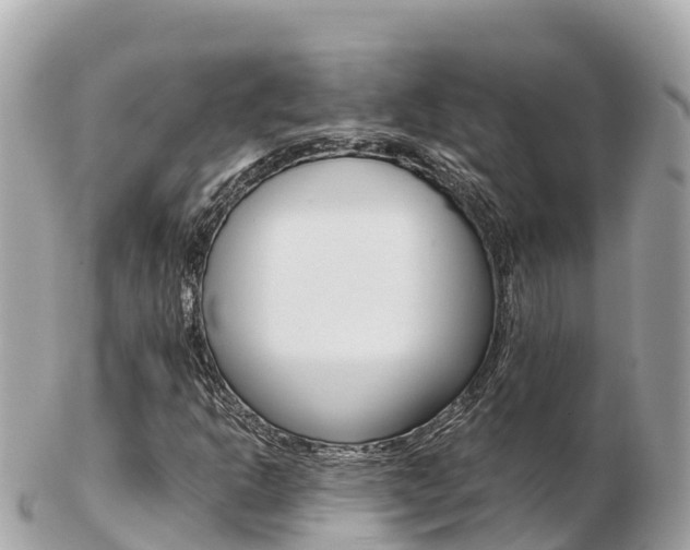 X0000103311302200808291144