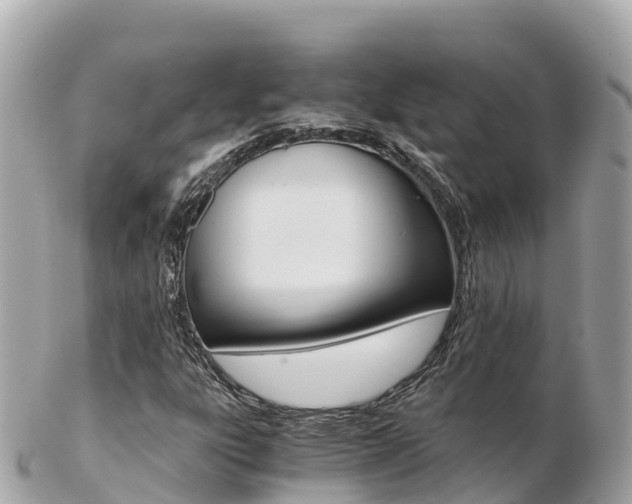 X0000103311303200808291144