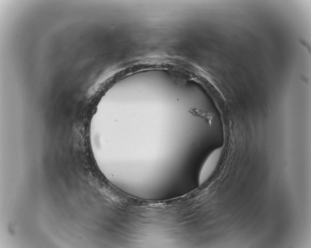 X0000103311304200808291144