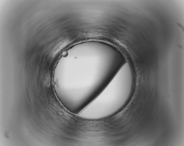 X0000103311306200808291144