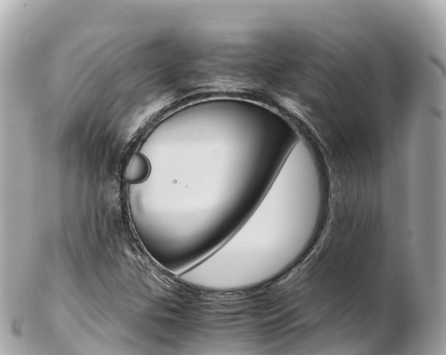 X0000103311307200808291144