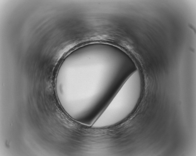 X0000103311308200808291144