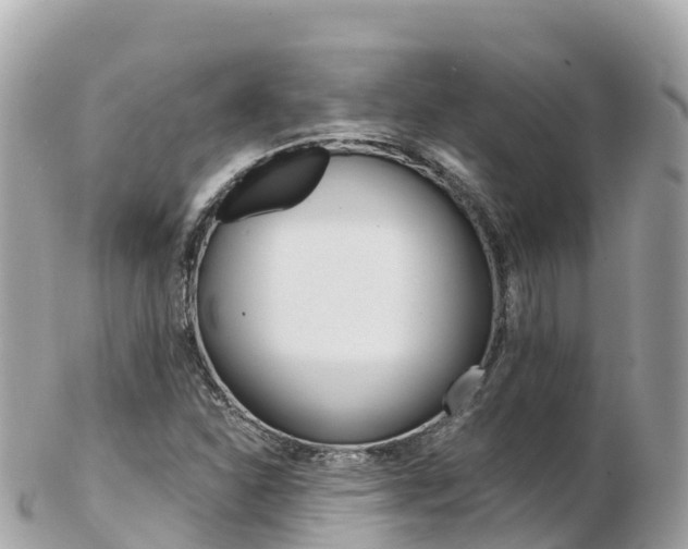 X0000103311310200808291144