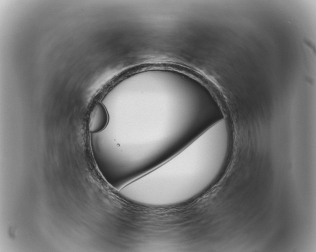 X0000103311311200808291144