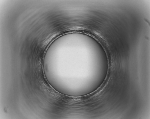 X0000103311313200808291144