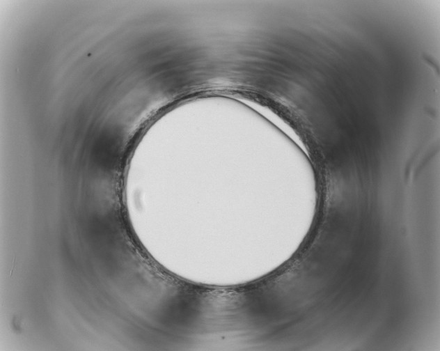 X0000103311314200808291144
