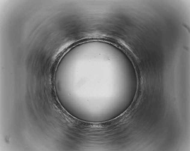 X0000103311315200808291144