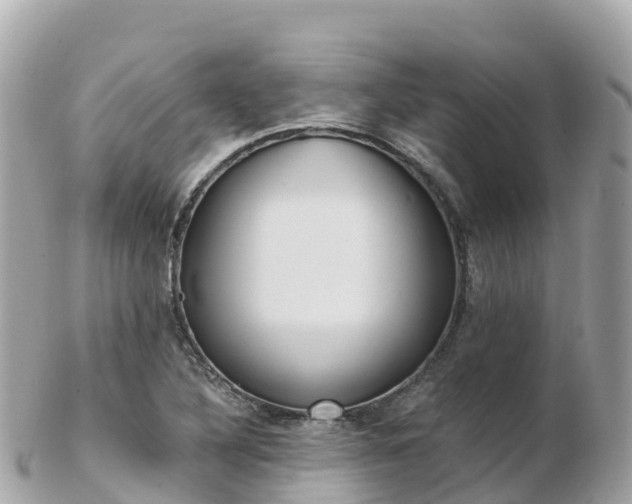 X0000103311316200808291144