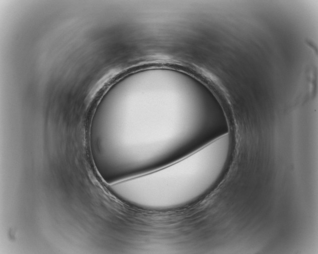 X0000103311318200808291144