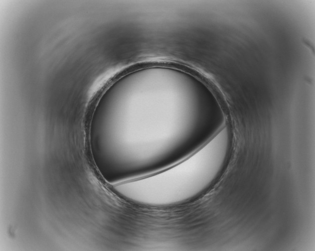 X0000103311319200808291144