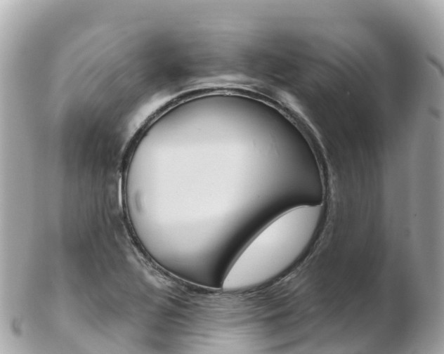 X0000103311320200808291144