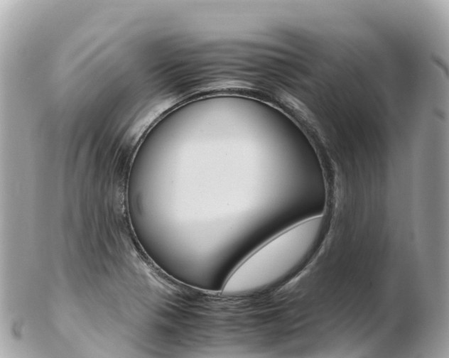 X0000103311321200808291144