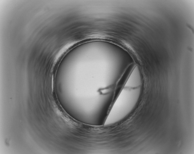 X0000103311323200808291144