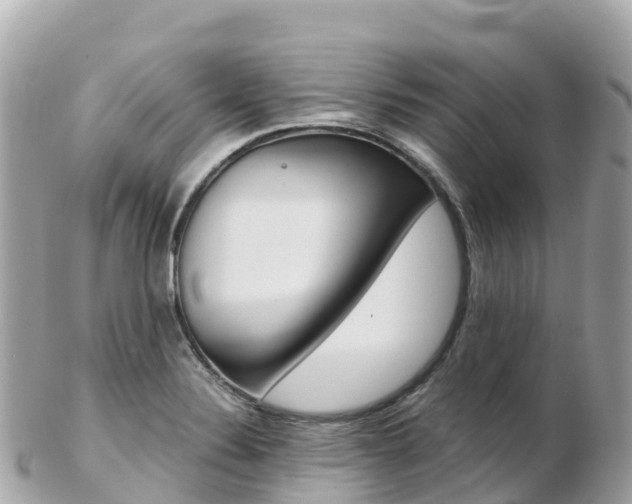 X0000103311324200808291144